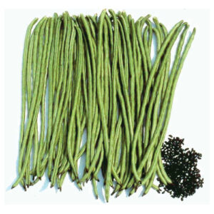 Asparagus-Beans---Green-Pod