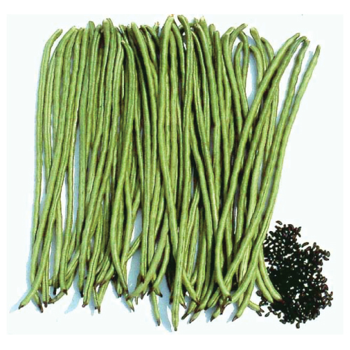 Asparagus-Beans---Koashang