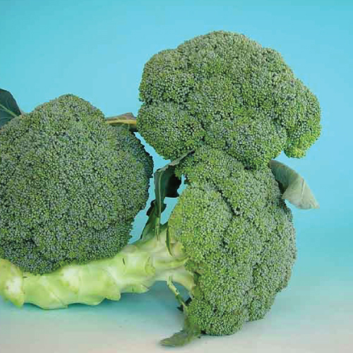 Broccoli---Green-Super