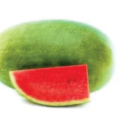 Watermelon---Empire-No.-2